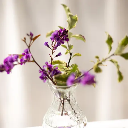 Ξενοδοχείο Sao Jose