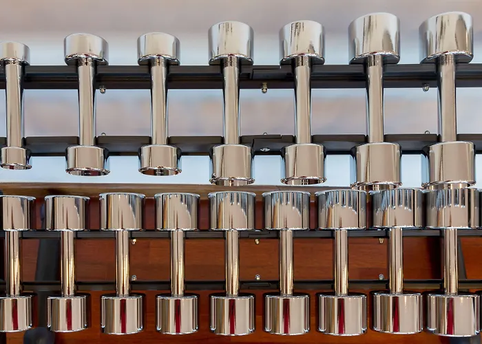 מלון Sao Jose 4*